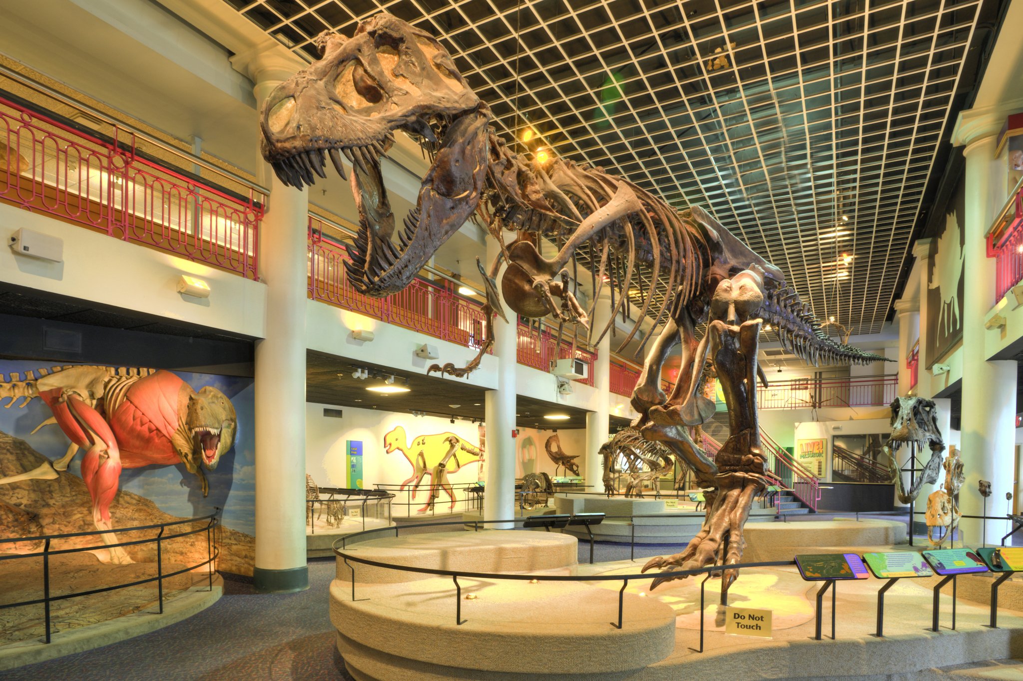 America’s oldest natural history museum will close by the end of the month—here’s your last day to visit