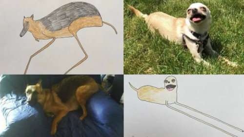 Man Quits Full-Time Corporate Job After Earning Over Rs 3 Crore By Selling 'Rubbish' Pet Portraits