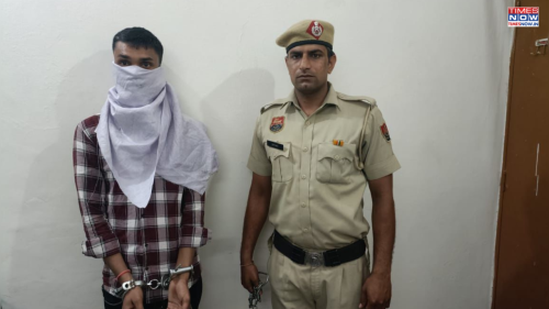 800 CCTV Footage, Special Team: How Cops Traced Man Who Sexually Assaulted Air India Hostess In Gurugram