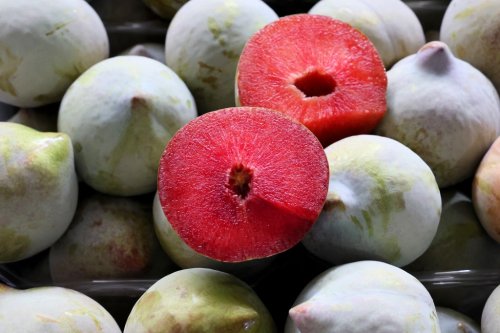 Black apricots and ‘watermelon plums’: Israeli farm grows unique hybrid fruits