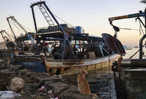 Gazza fisherman get boats back in ship-shape as Israel lifts ban on fiberglass