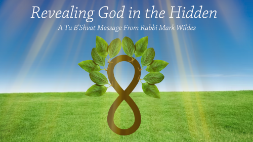 Revealing God in the Hidden: A Tu B’Shvat Message