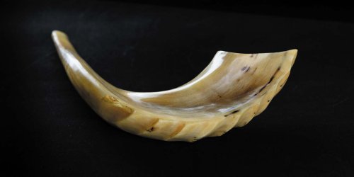 The Shofar: Our Call to Action