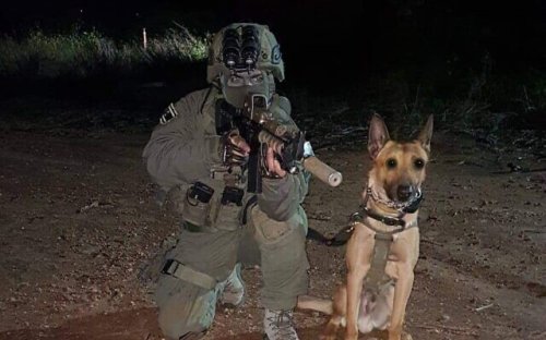 ‘A true four-legged warrior’: Police hail elite unit dog killed in West Bank raid