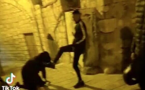 Palestinian teens who humiliated Haredi man for TikTok video freed to house arrest