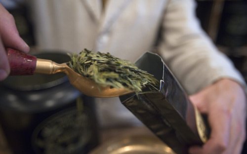 Green tea can be dangerous for some people, Israeli study concludes