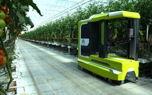 Israeli startup develops first AI robot for picking tomatoes