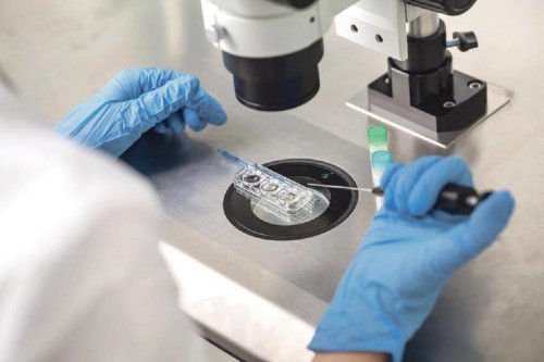 Pre-implantation genetic testing to be allowed in IVF procedures