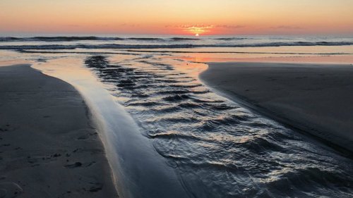 Oceanside City Council Approves 'Living Speed Bumps' Location to Combat Coastal Erosion