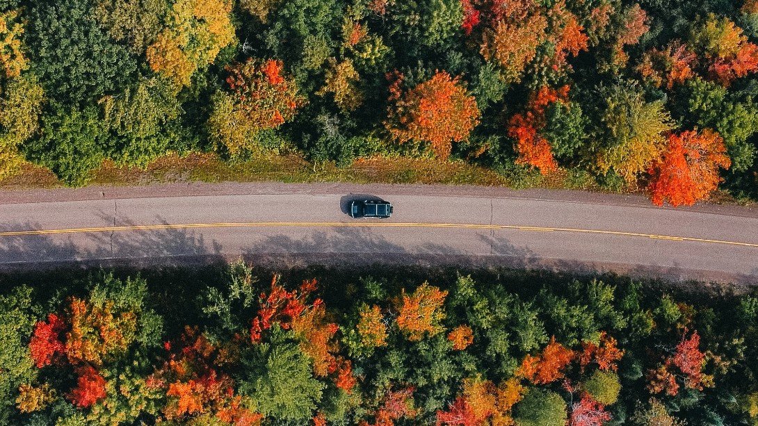 9 Scenic Drives to See Autumn's Amazing Colors