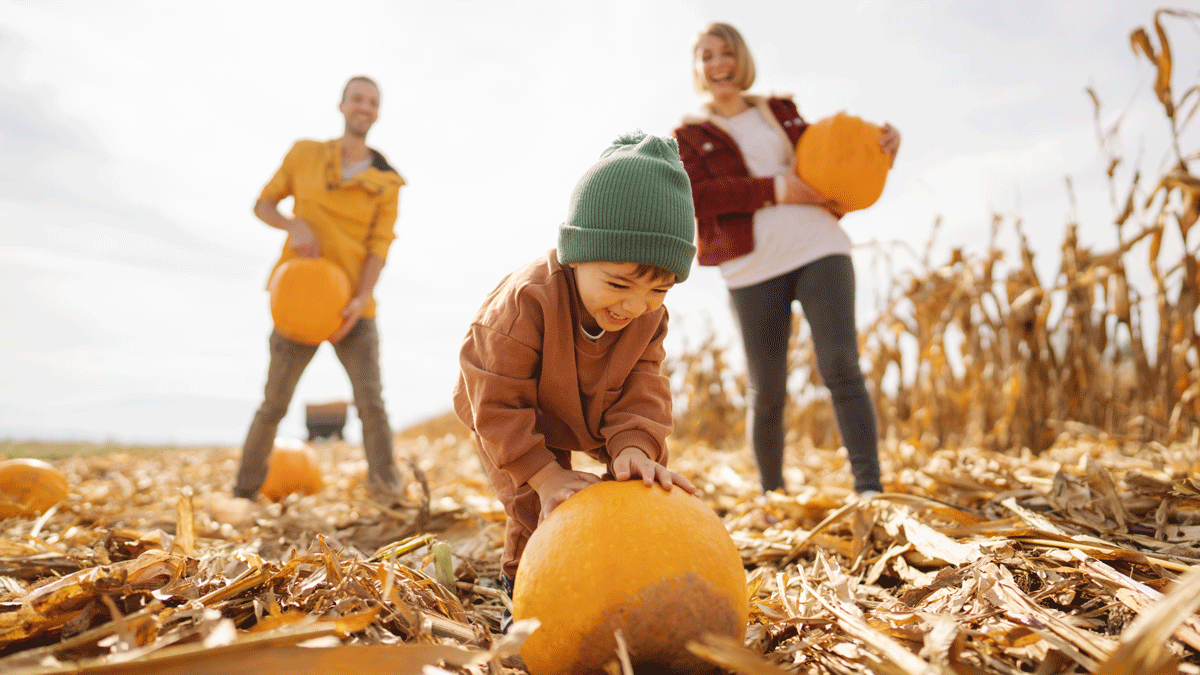 Praise the Gourd: Where to Go Pumpkin Picking This Year