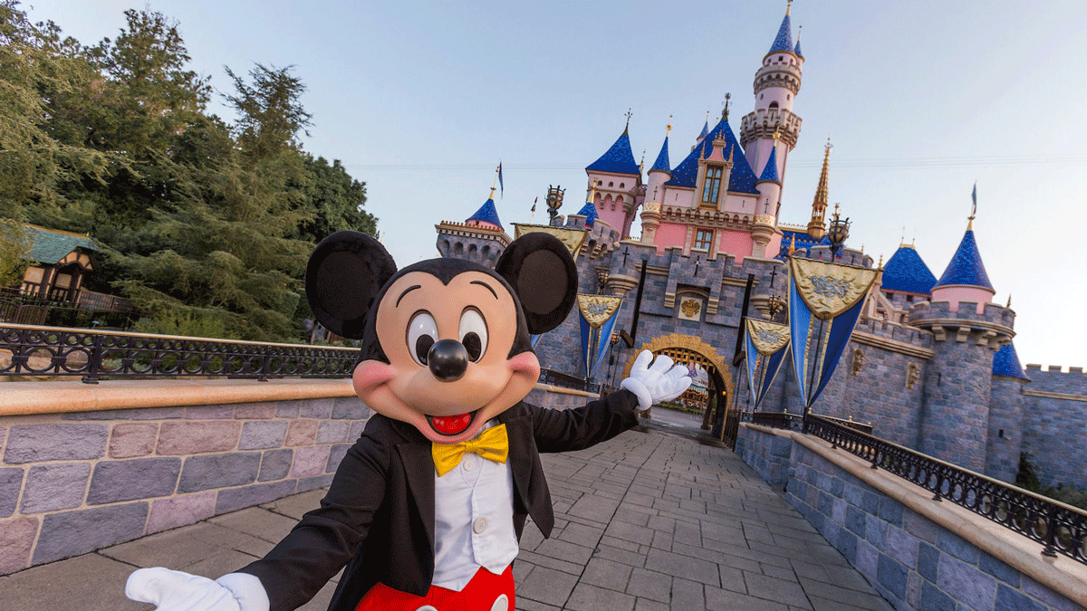 Disney & Amusement Park Tips & Tricks - cover