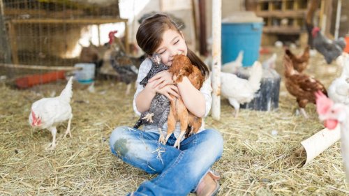 The 12 Best Family-Friendly California Farm Stays to Book Now