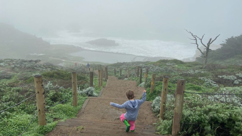 Free (& Fun!) Things to Do in the Bay Area with Kids