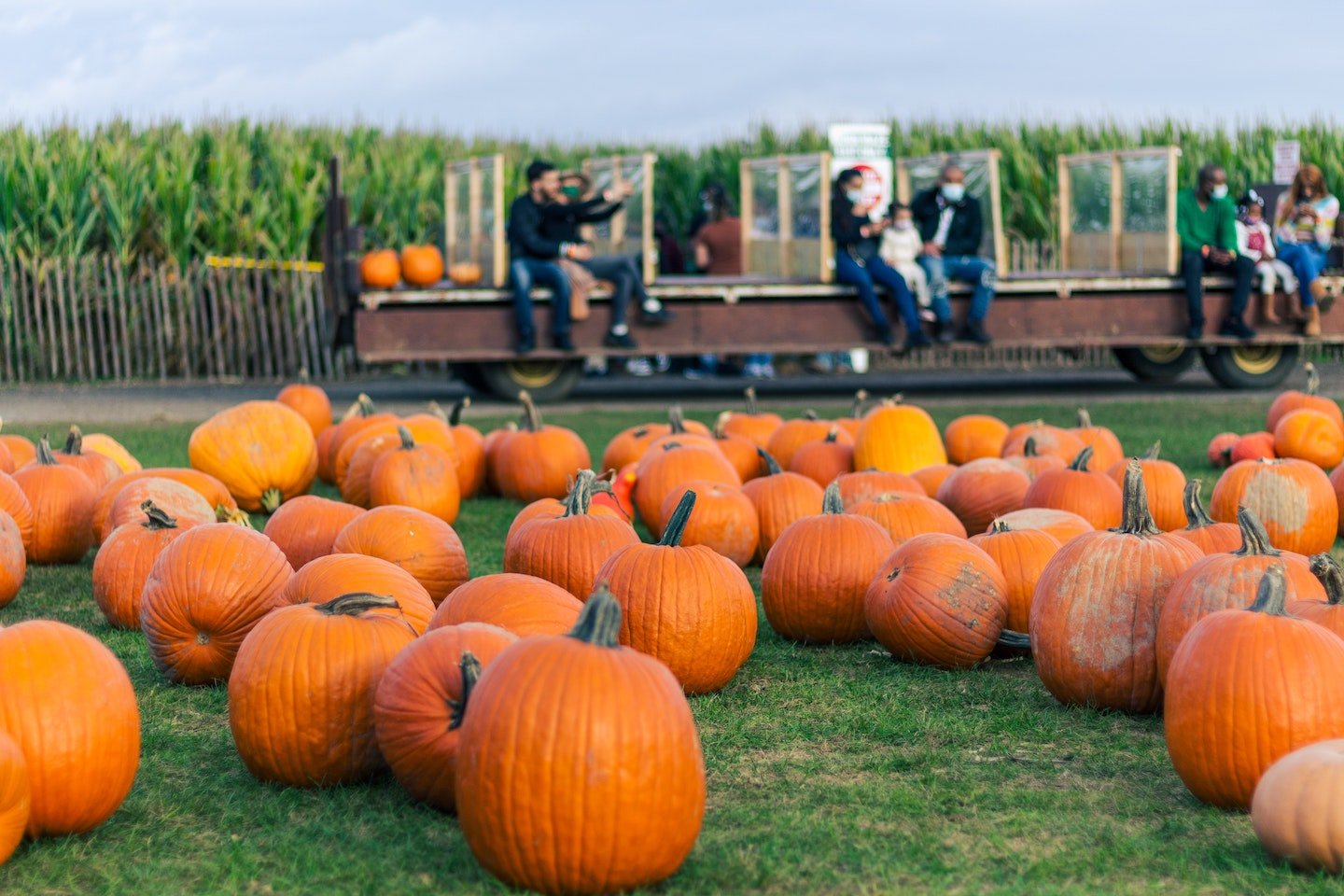 27 Fall Festivals to Visit at Least Once with Kids