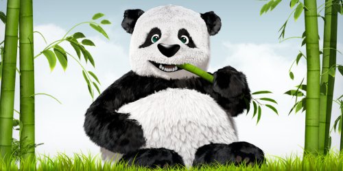 Internet Resources cover image