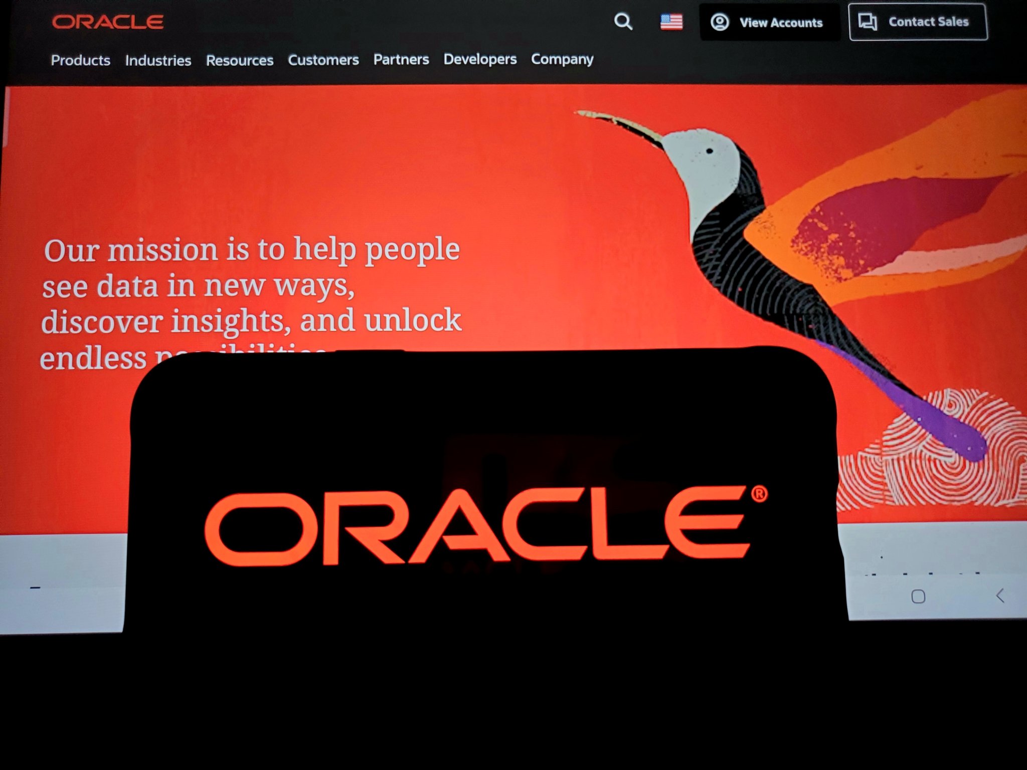 Oracle Stock Suffocates as Barclays & Scotiabank Analysts Slash Price Forecast Just Before Earnings