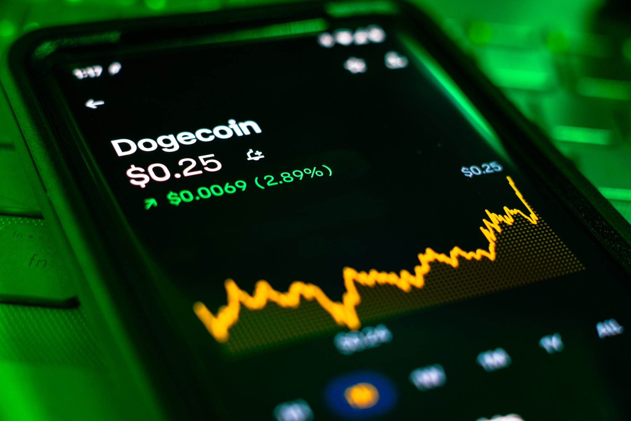 Dogecoin Price Tries to Survive at $0.25 as Binance Founder CZ Says “Dips Are Important”