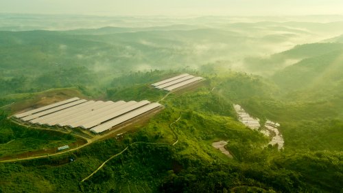 Grease Your Portfolio With These Palm Oil Stocks From Singapore Flipboard