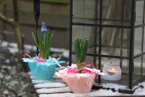 Frühlingshaftes DIY mit Butterbrotpapier