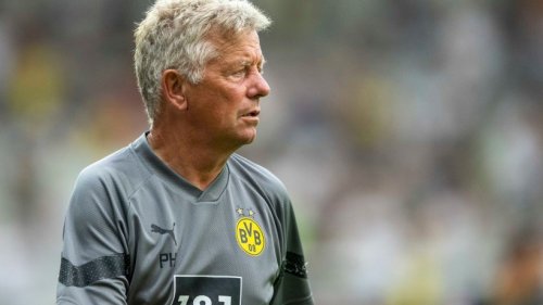 BVB-Co-Trainer Hermann beendet Karriere