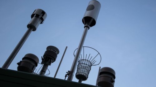 Luft-Messungen könnten Daten zu Artenvielfalt liefern