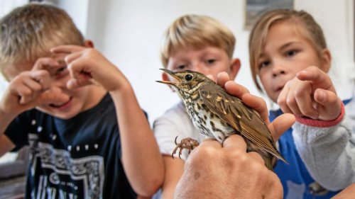 Biologische Vielfalt der Wartburg-Region entdecken