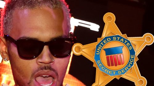 Chris Brown Secret Service Could Save Him From Prison