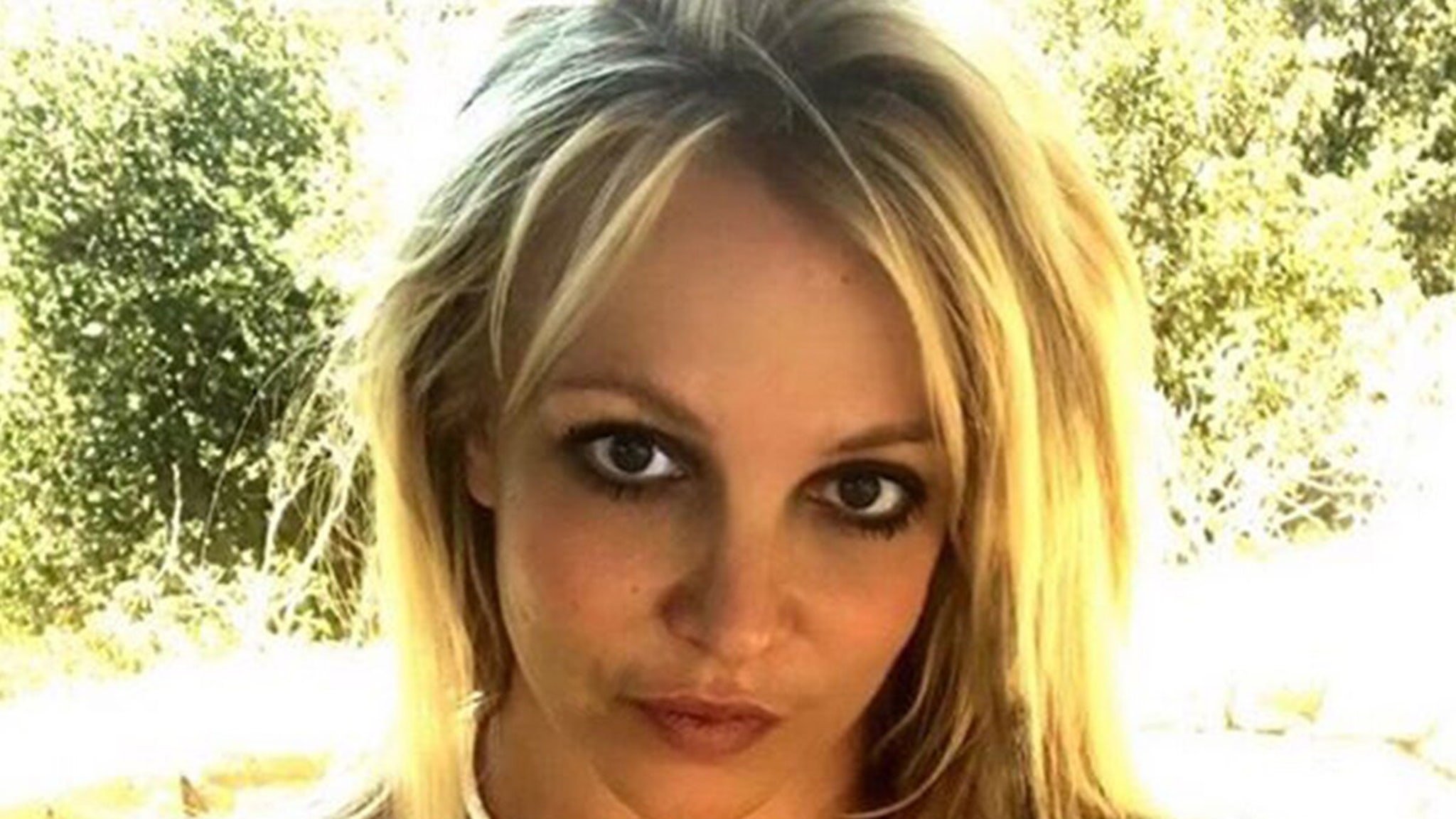 Britney Spears Her Lawyer Likens Her to Comatose Patient