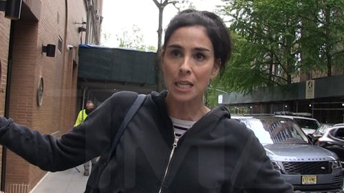 Sarah Silverman Banning Trump on Twitter ... It's More Complicated than You Think