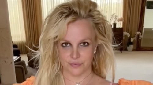 Britney Spears Former Business Manager Lying ... They Were Knee Deep in Creating Conservatorship