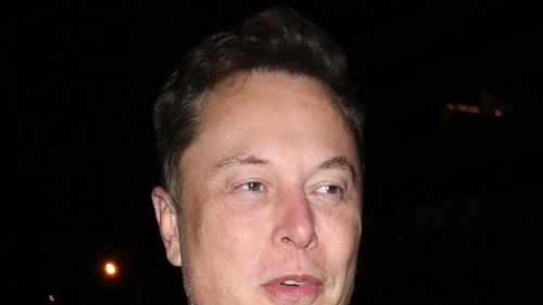 Elon Musk Daughter Files to Change Last Name ... No Longer Wants to 'Be Related' to Him