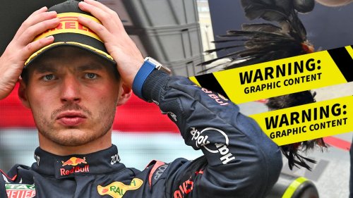 Max Verstappen Wins Canadian G.P. With Dead Bird Stuck To Car ...