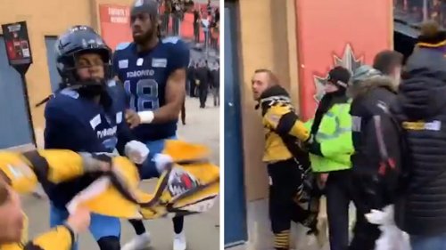 Canadian Football League Player Throws Punch At Fan In Stands ... Wild Scene At Game