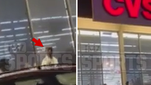 Terrell Owens Punches, Drops Man At CVS ... After Heckler Allegedly Threatens Fan