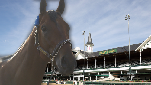Churchill Downs Launches New Safety Initiatives ... After 12 Horses Die