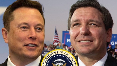 Elon Musk 'I'm Supporting Ron DeSantis For Prez In 2024...' Donald Who?