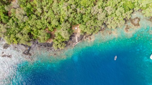 The 5 Best Snorkeling Spots on Hawai‘i Island in 2021 - Hawaii Magazine