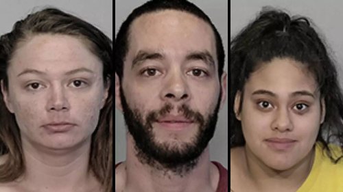 Florida threesome turns violent after woman mocks couple's private parts