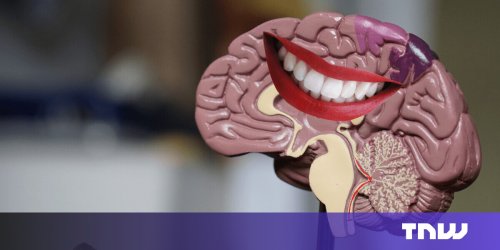 How to train your brain to release more happy chemicals
