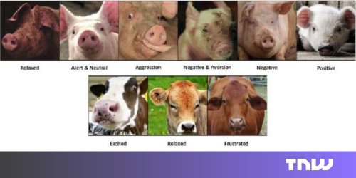 A scientist created emotion recognition AI for animals