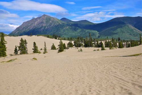 Unique Landscapes: Must See Deserts and Sand Dunes in Canada | To Do Canada