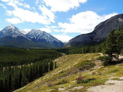 An Overview of Crown Camping in Alberta | To Do Canada