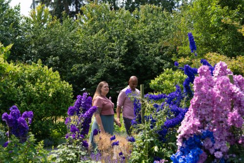 Nine Trip Itineraries Across British Columbia to Experience Stunning Gardens and Family Fun Flower Farms | To Do Canada
