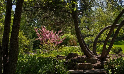 6 Gorgeous Calgary Gardens For Tranquil Summer Walk | To Do Canada