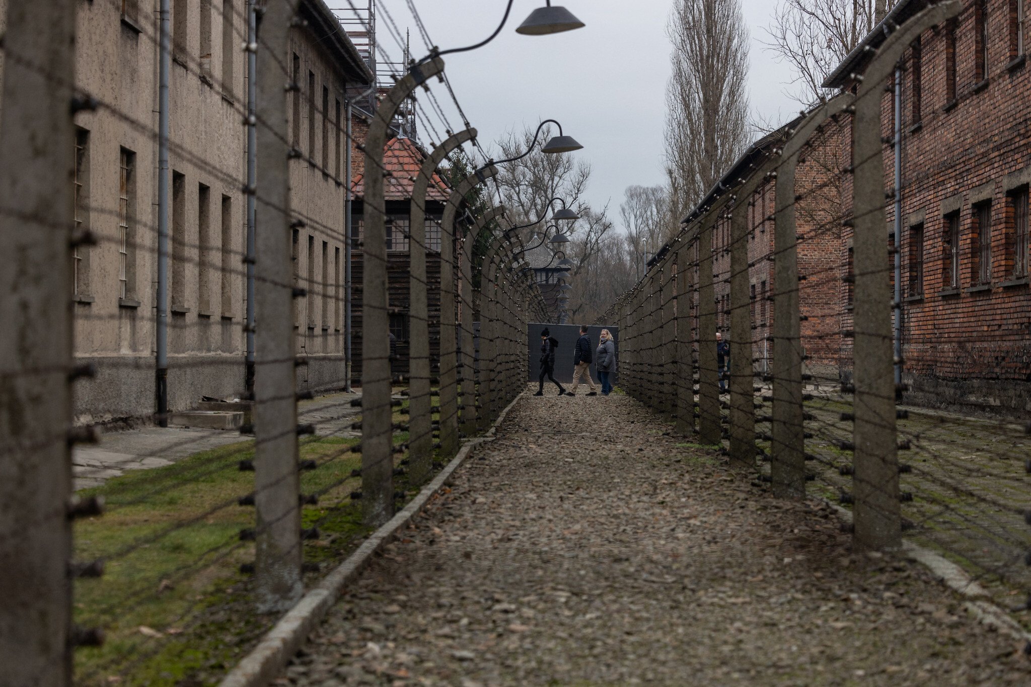 Most people believe a genocide of Jews could happen today, multi-country survey finds