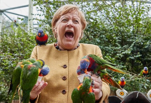 Kurioses Foto: Merkel besucht Vogelpark – und wird von Papagei gebissen