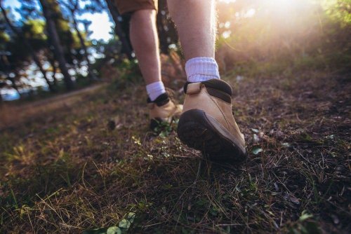 Jugendlicher stirbt beim Wandern, Kriminalpolizei ermittelt