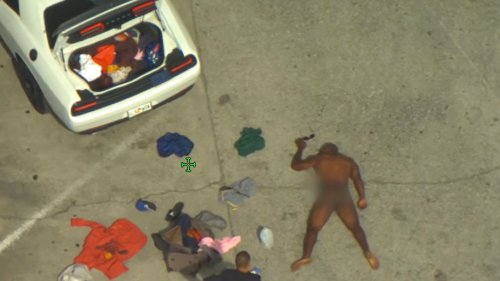 Naked Man Threw Berries and Machete at Attempted Robbery Victim Before Doing Pushups: Police