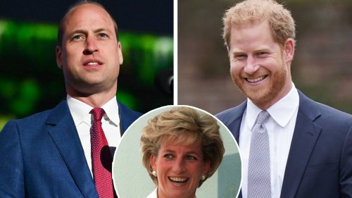 Prince William & Prince Harry Share Touching Tributes on Late Mom Princess Diana's 61st Birthday